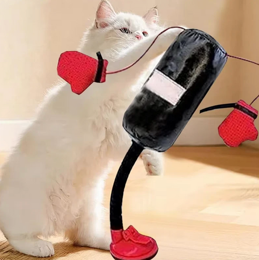 Katzen-Boxsack
