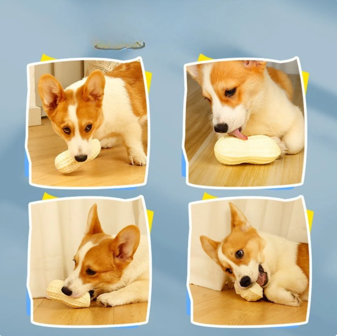 Robustes Erdnuss-Kauspielzeug