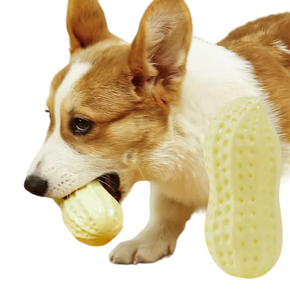 Robustes Erdnuss-Kauspielzeug