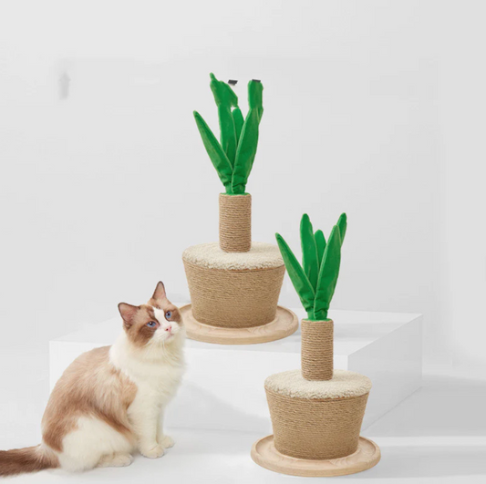 Katzen-Klettergarten mit Blumentopf-Design