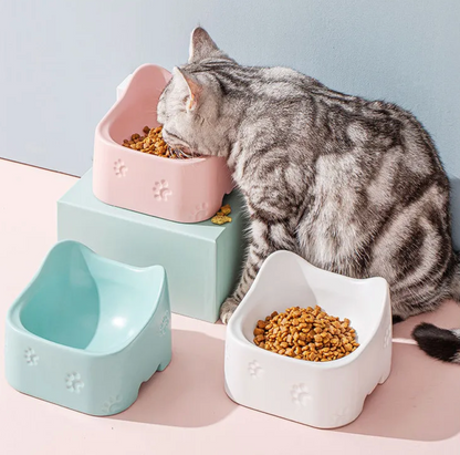 Ergonomische Katzenfutterschale