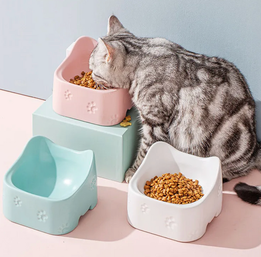 Ergonomische Katzenfutterschale