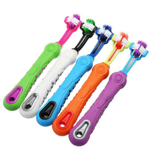 3-Kopf-Hundezahnbürste