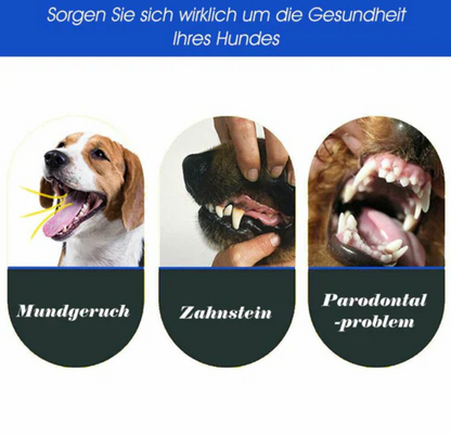 3-Kopf-Hundezahnbürste