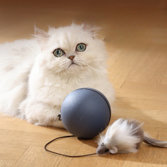 TurboBall – Interaktiver Katzenball mit Schwanz