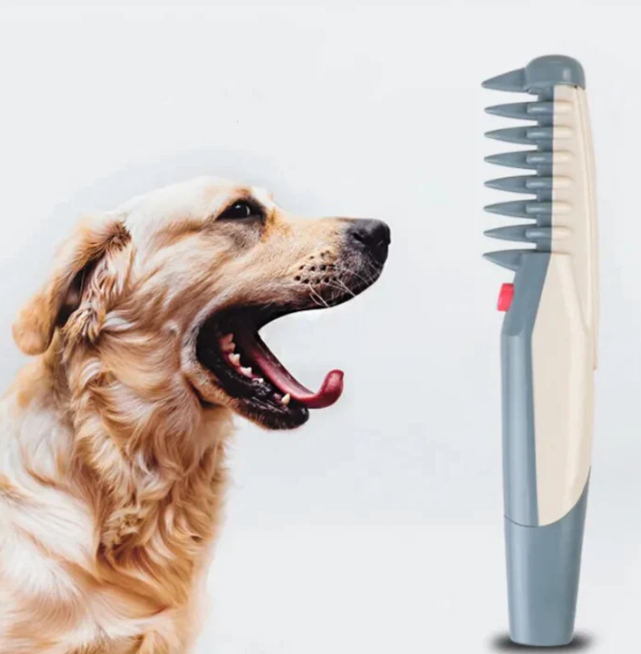 FellGlanz – Elektrischer Haarschneider für Hunde und Katzen