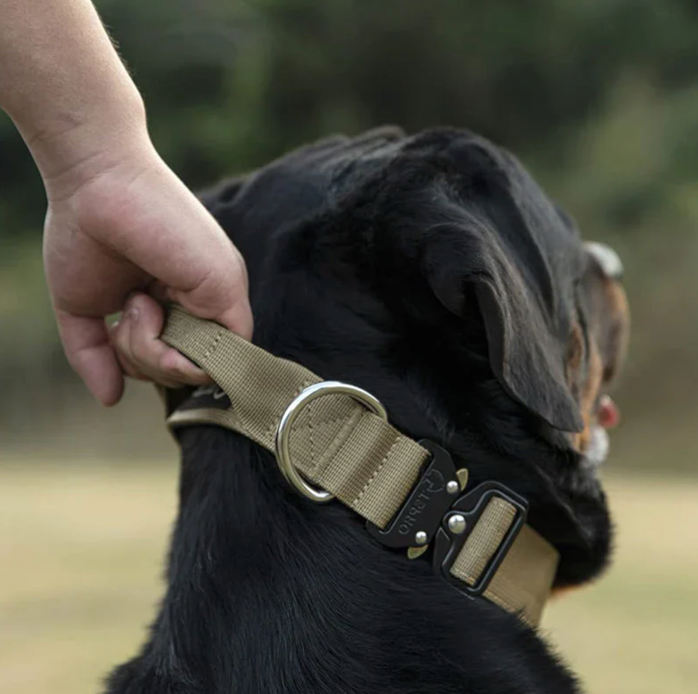 GripMeister – Taktisches Hundehalsband mit Griff