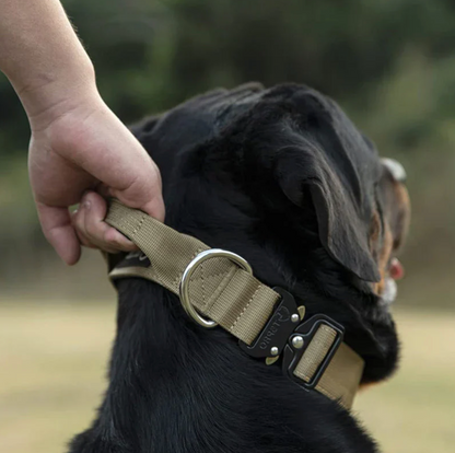 GripMeister – Taktisches Hundehalsband mit Griff