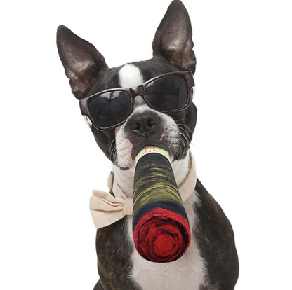 KauZigarre – Das interaktive Kauspielzeug für Hunde