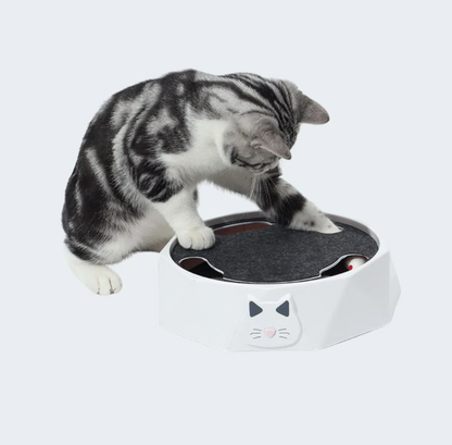 Jagemaus – Interaktives Versteck- und Jagdspiel für Katzen