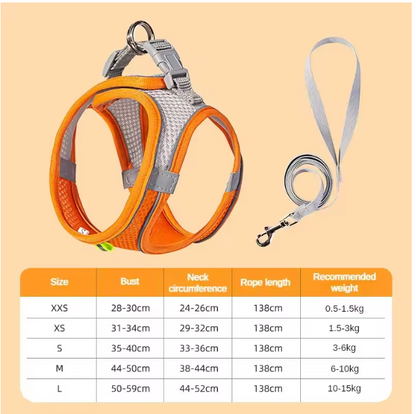 PuppyFlex Adjustable Harness & Leash Set