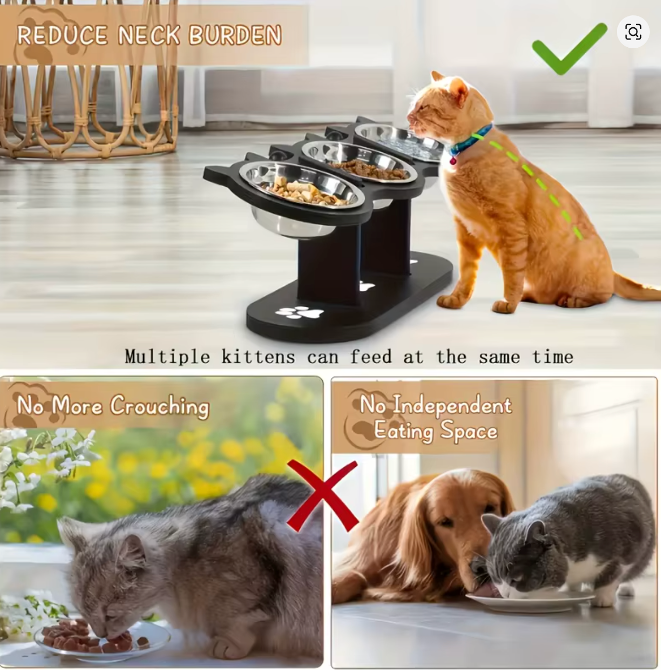 Adjustable 15° Tilted Pet Bowl