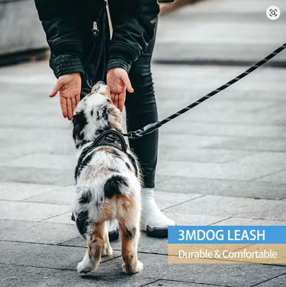 Long-Reach Reflective Round Climbing Leash