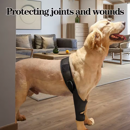 HipGuard Universal Dog Joint Support Harness