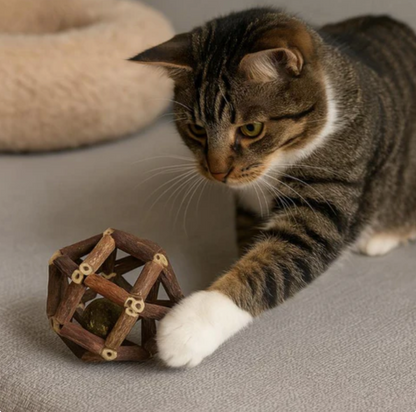Whisker-Haven Cube