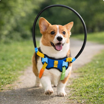 PawGuide