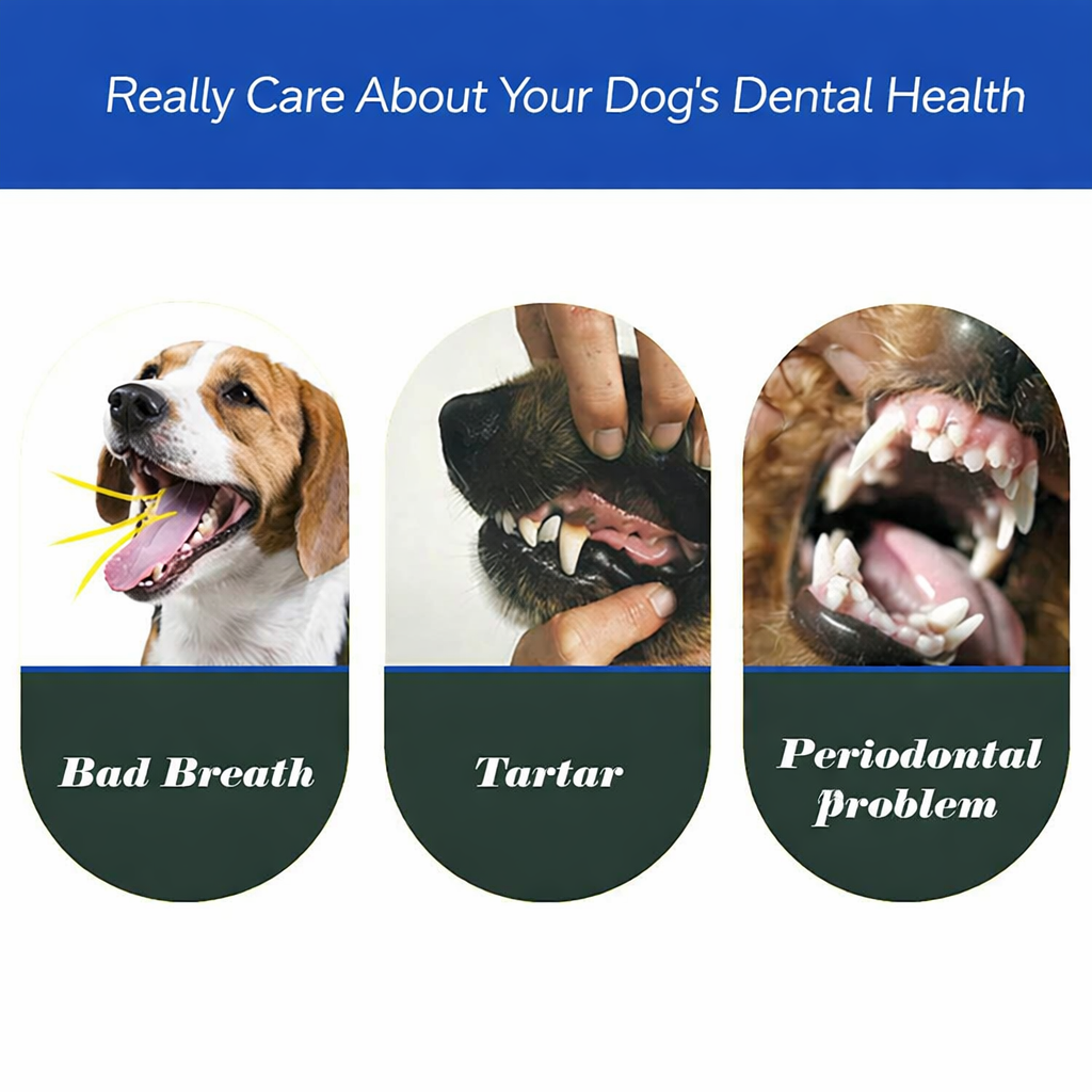 BrightBite Triple-Head Dog Toothbrush