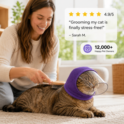 SafePaws