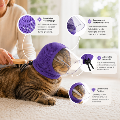 SafePaws