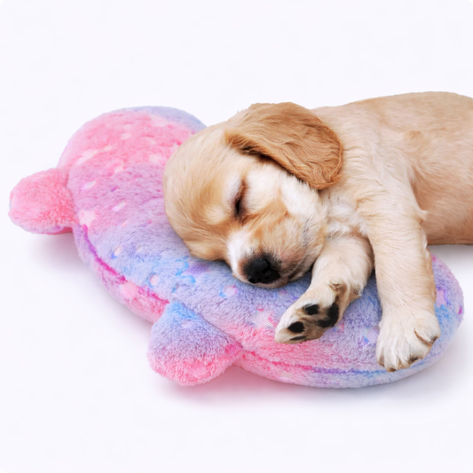 CozyNest Pillow