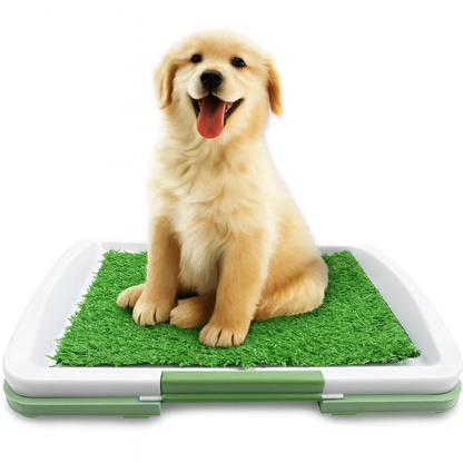 RasenOase – Hundetoilette mit Kunstrasen & Anti-Rutsch-Matte
