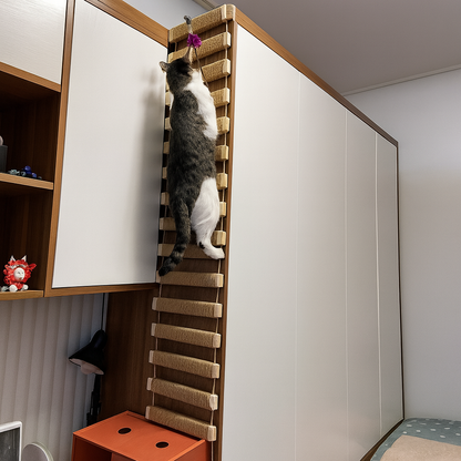 WandAbenteuer – Kletterbrücke & Hängeleiter für Katzenwandmontage