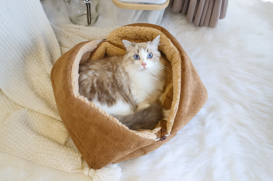 Katzenkuschelbett