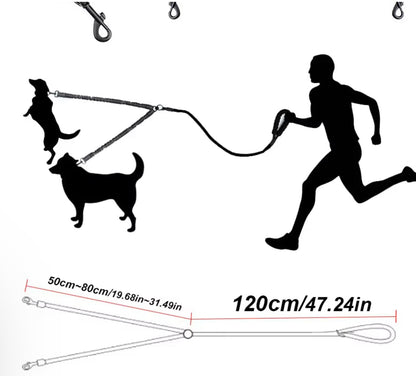 Doppelleine für zwei Hunde