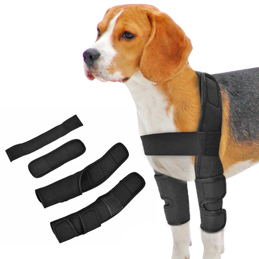 Kniebandage für Hunde