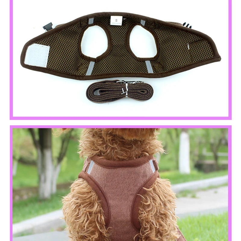 Reflektierendes Hundegeschirr mit Leine