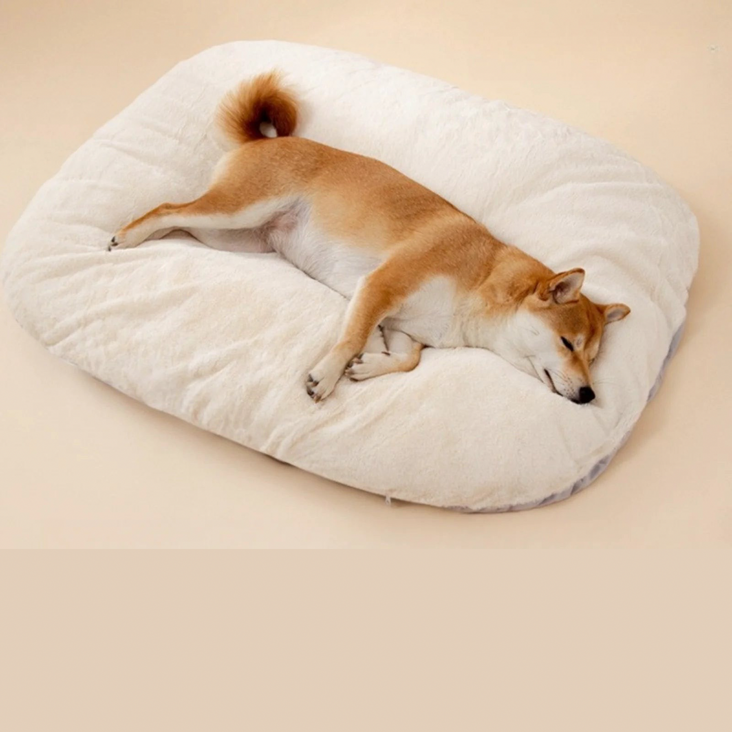 Luxuriöses Hundesofa