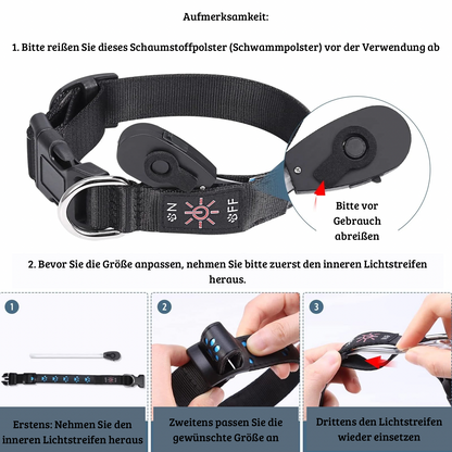 Leuchtendes LED-Halsband