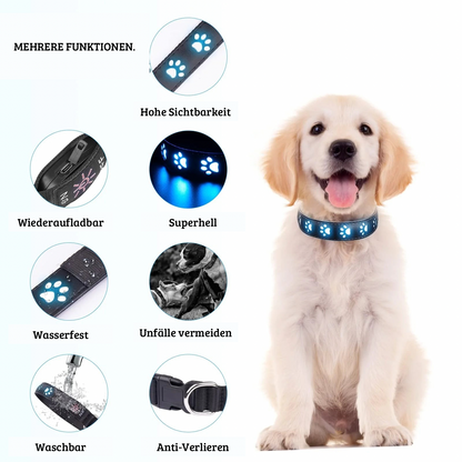 Leuchtendes LED-Halsband