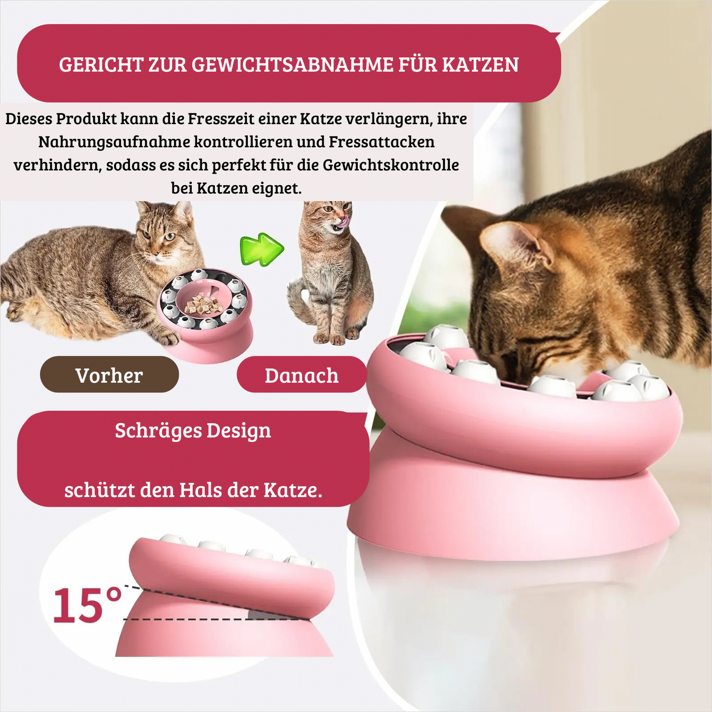 Interaktiver Slow Feeder
