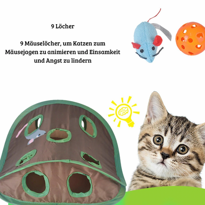 Interaktives Katzenspielzeug mit 9 Löchern