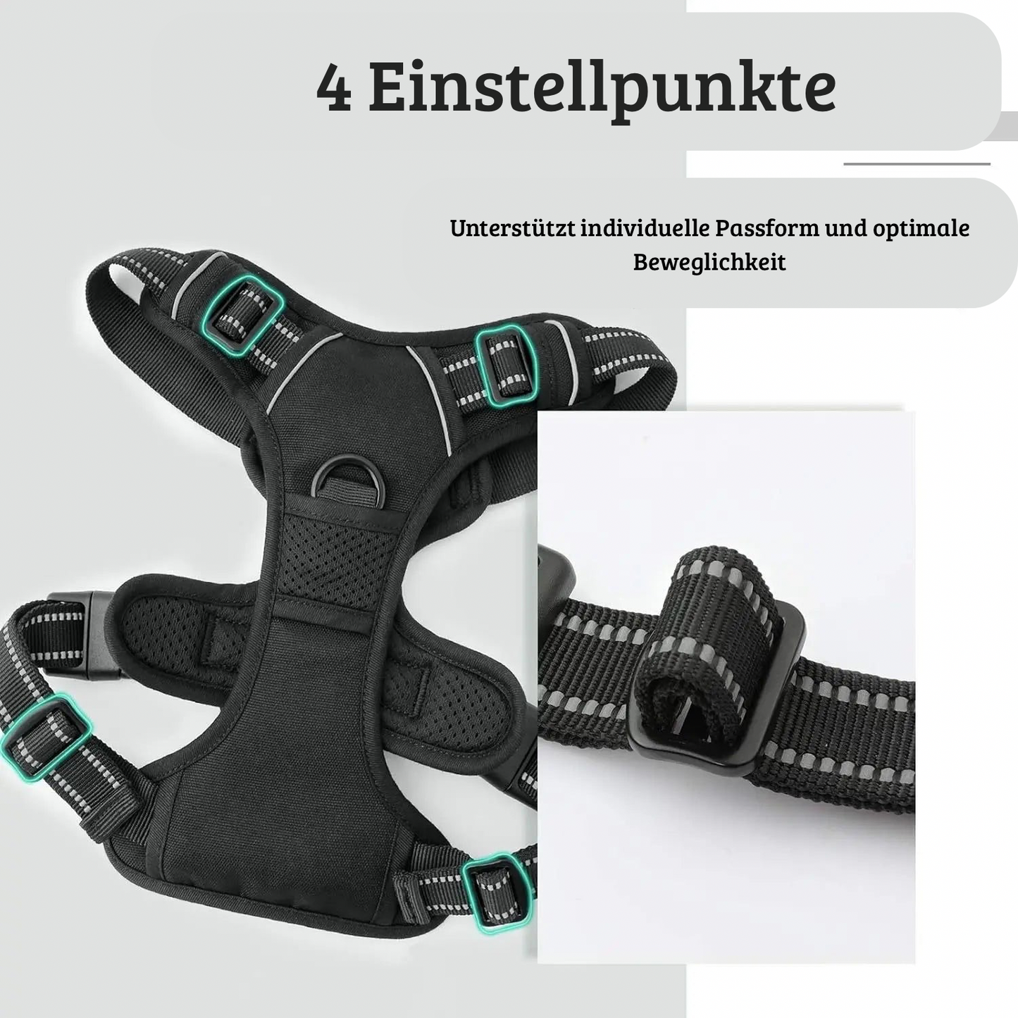 Robuste Hundegeschirr