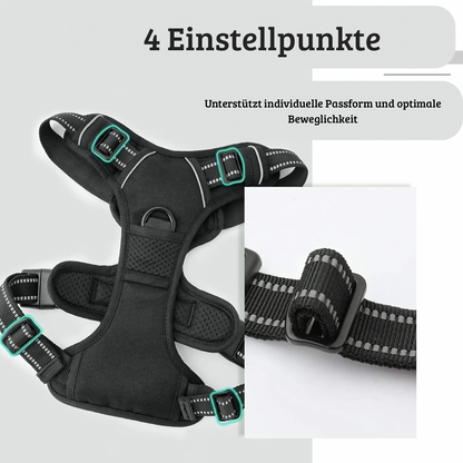 Robuste Hundegeschirr