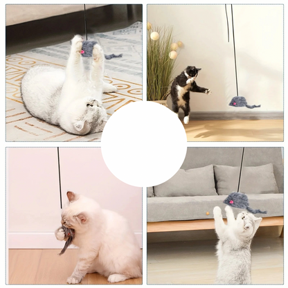 Türhängendes Katzenspielzeug