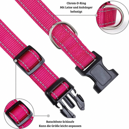 Reflektierendes, verstellbares Hundehalsband