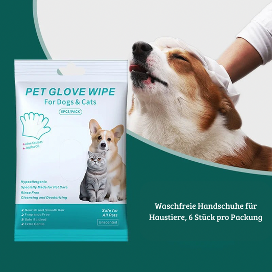 Einweg-Reinigungshandschuhe für Haustiere