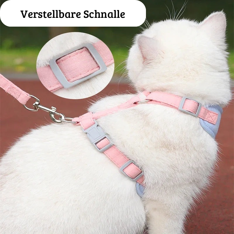 Geschirr mit Leine für kleine Hunde & Katzen