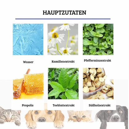 Mundspray für Hunde & Katzen – 50 ml Zahnreinigung & Atemfrische