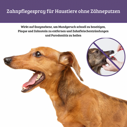 Mundspray für Hunde & Katzen – 50 ml Zahnreinigung & Atemfrische