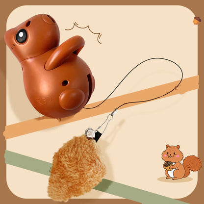 SchwanzJäger – Eichhörnchen-Schwanz Spielzeug für Katzen