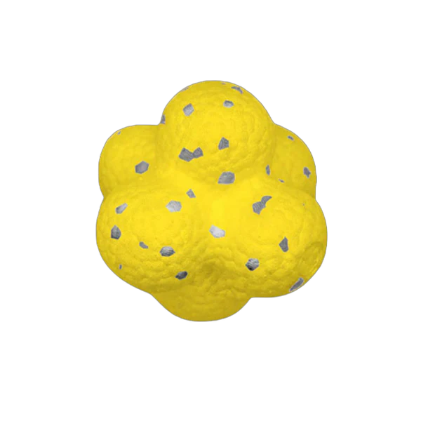 Robuster Springball für Hunde