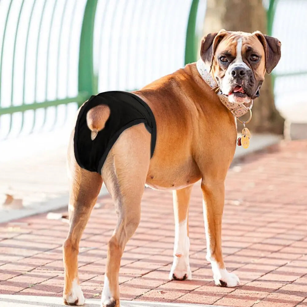 Verstellbare Hundewindel für Hündinnen mit 3 Einlagen