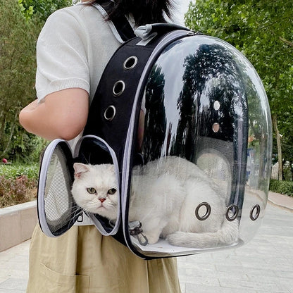 Rucksack für Haustiere