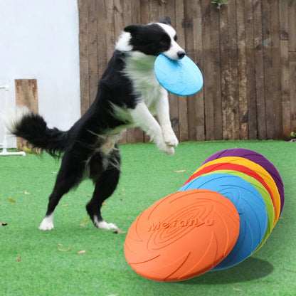 Bissfester Hundefrisbee