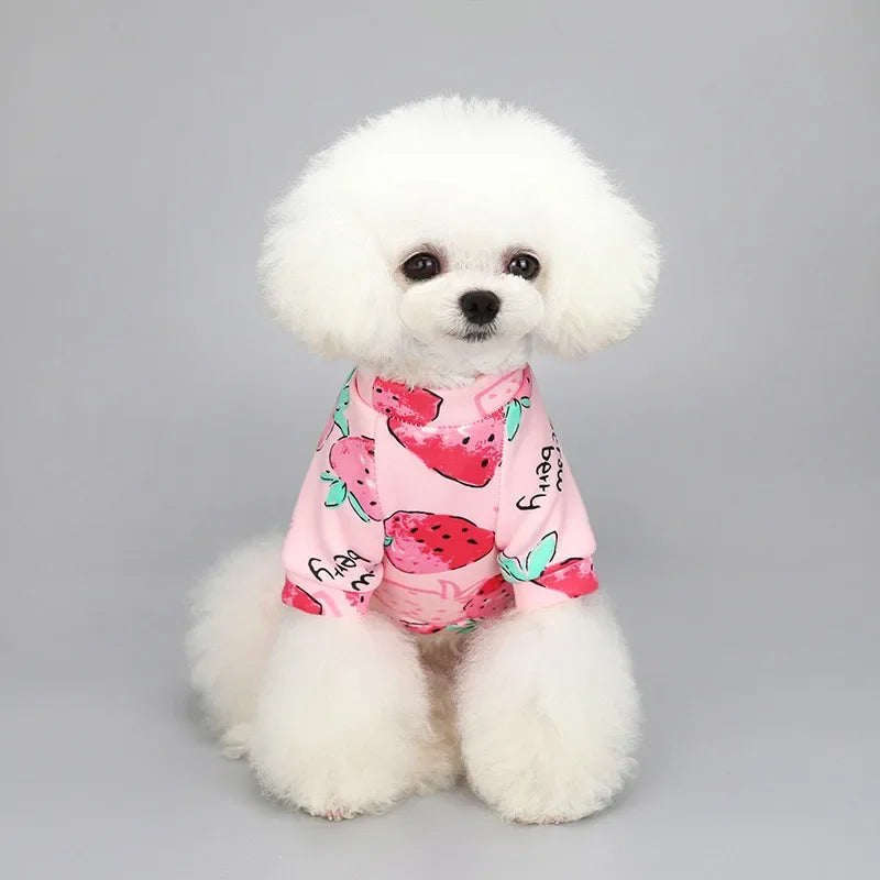 Kuscheliger Winter-Pullover für kleine Hunde & Katzen