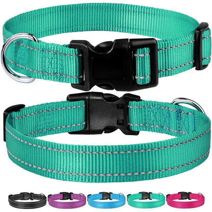 Reflektierendes, verstellbares Hundehalsband
